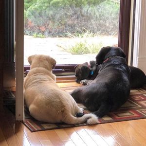 Meet your Posher, Beverly